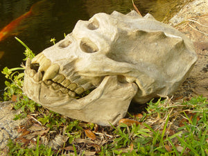 Life-size Troll Skull